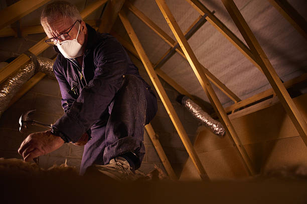 Best Specialized Insulation Services in Surf City, NC