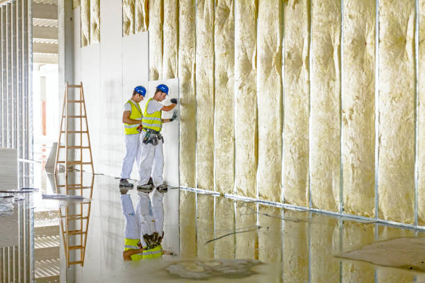 Best Residential Insulation in Surf City, NC